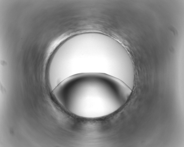 X0000091200248200708091045