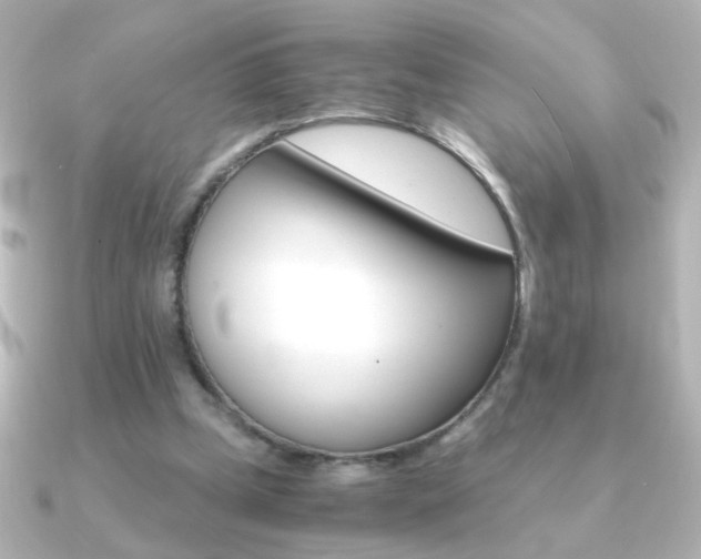 X0000091200249200708091045