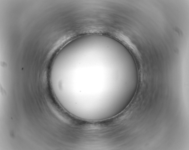 X0000091200250200708091045