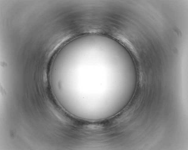 X0000091200251200708091045
