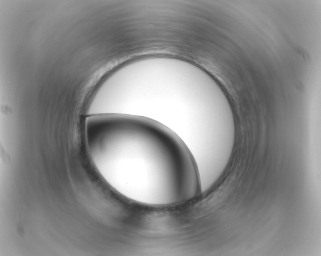 X0000091200252200708091045