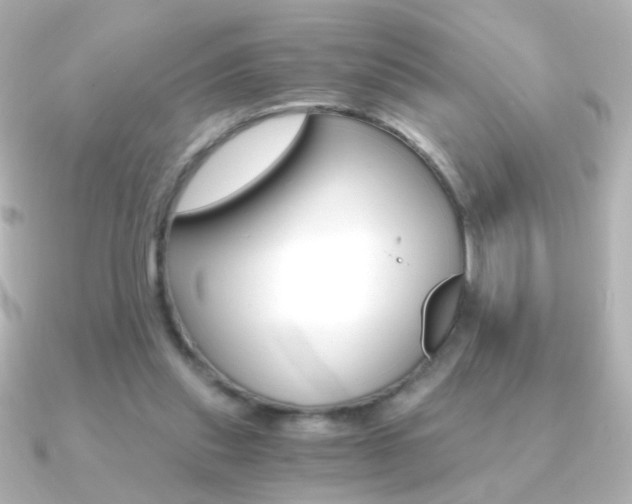 X0000091200253200708091045
