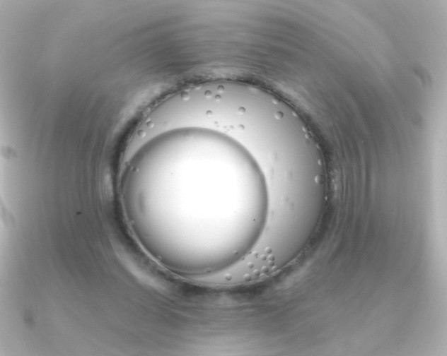 X0000091200254200708091045
