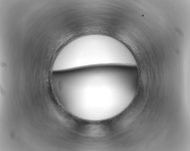 X0000091200255200708091045