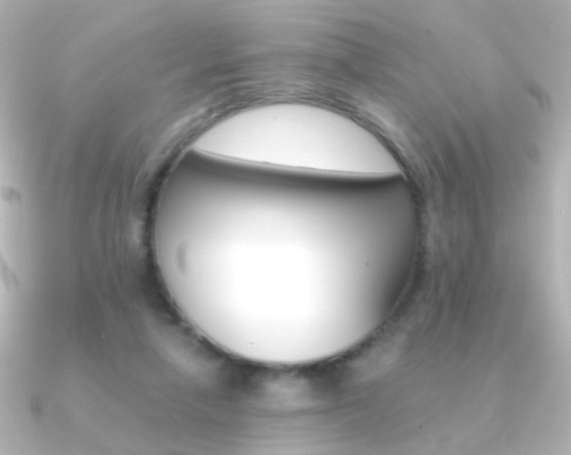 X0000091200258200708091045