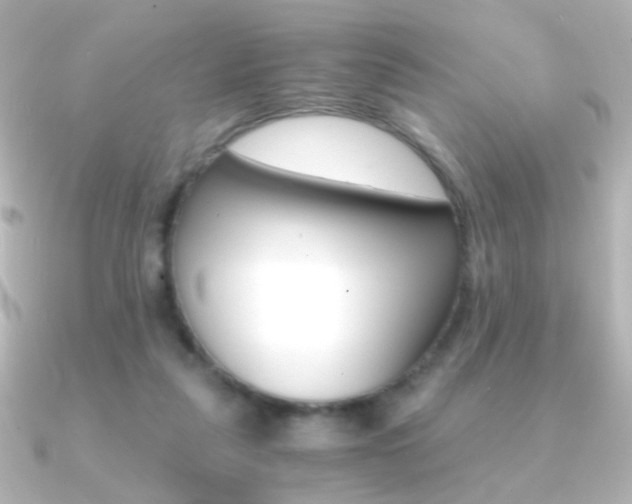 X0000091200259200708091045
