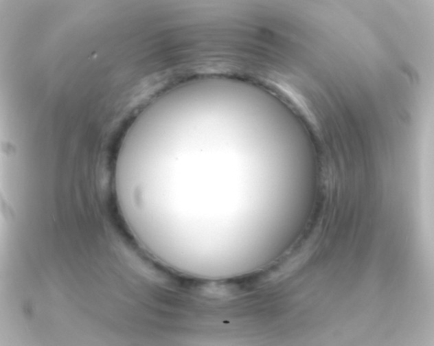 X0000091200261200708091045