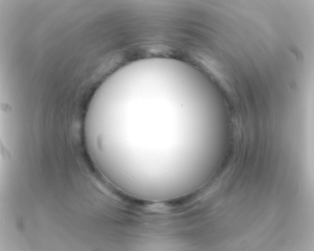 X0000091200269200708091045
