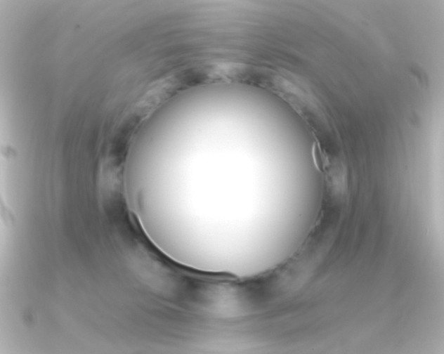 X0000091200276200708091045