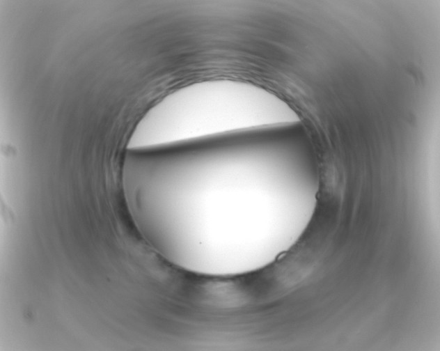 X0000091200283200708091045