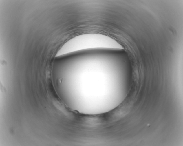 X0000091200284200708091045