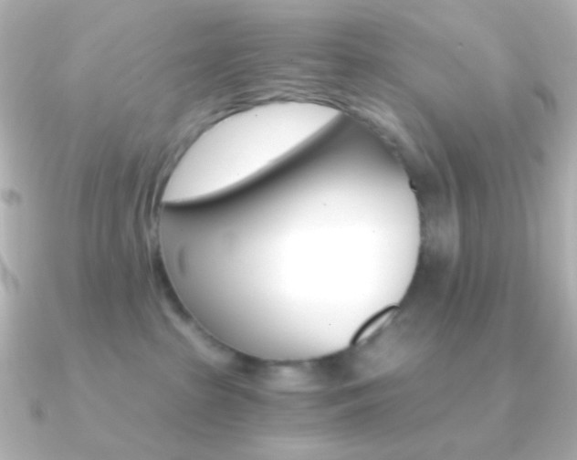 X0000091200285200708091045