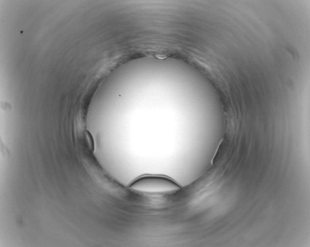 X0000091200287200708091045