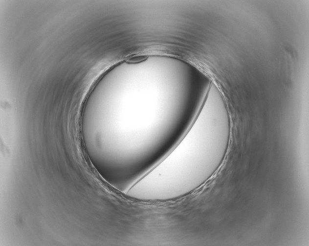 X0000091200289200708091045