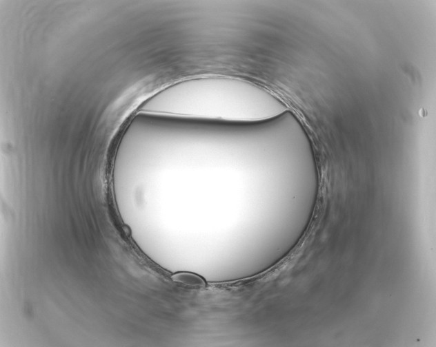 X0000091200290200708091045