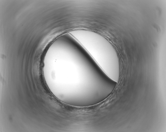 X0000091200291200708091045