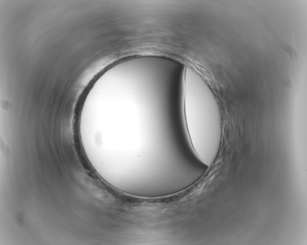 X0000091200292200708091045