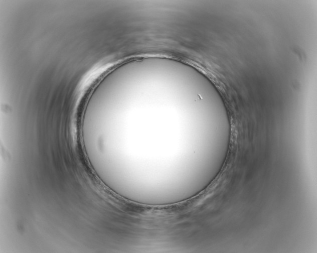 X0000091200294200708091045