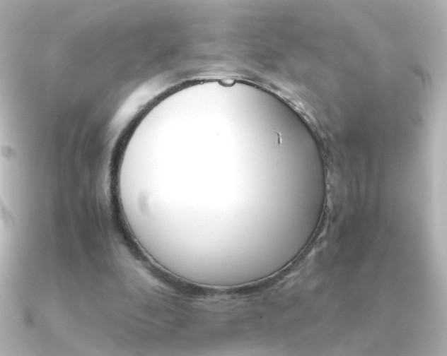 X0000091200296200708091045