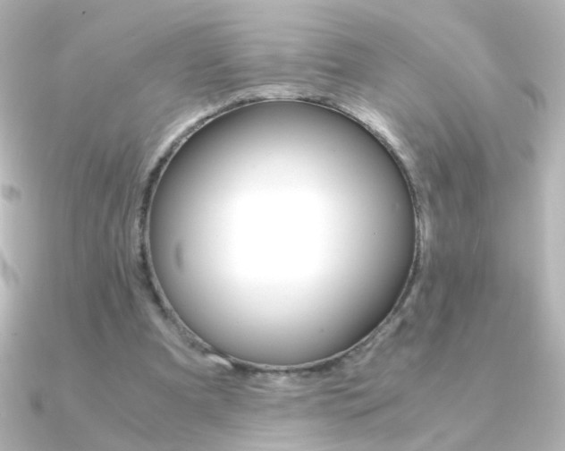 X0000091200297200708091045
