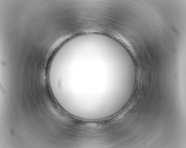 X0000091200298200708091045