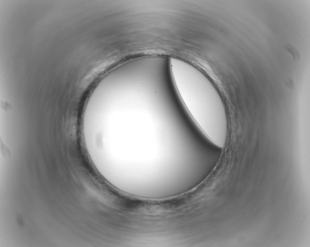 X0000091200299200708091045