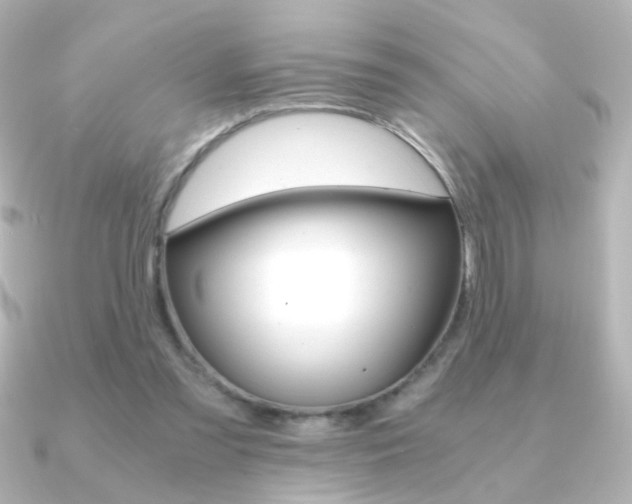 X0000091200301200708091045