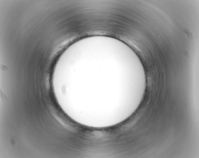 X0000091200302200708091045