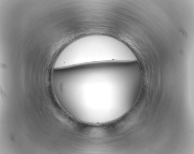 X0000091200303200708091045