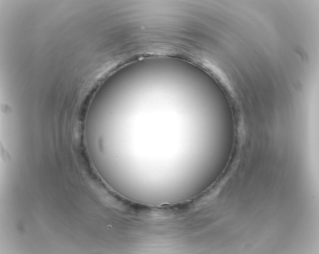 X0000091200305200708091045