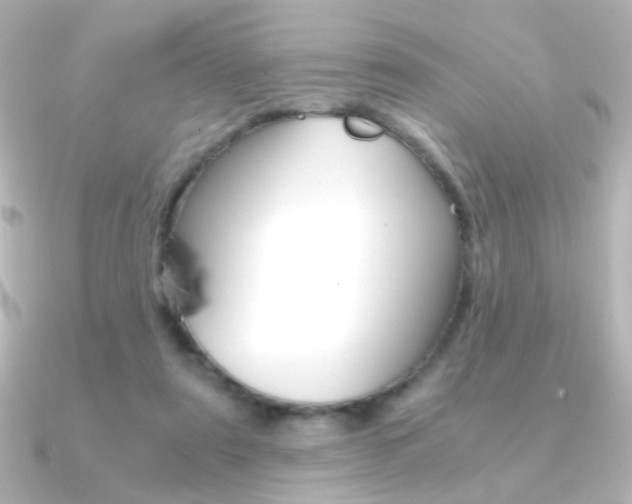 X0000091200307200708091044