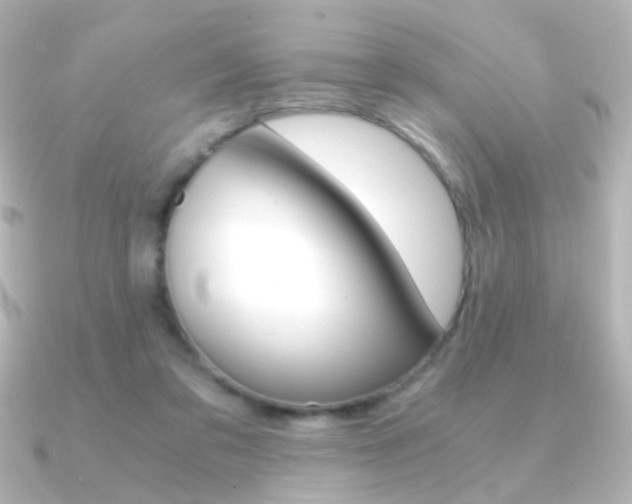 X0000091200309200708091044