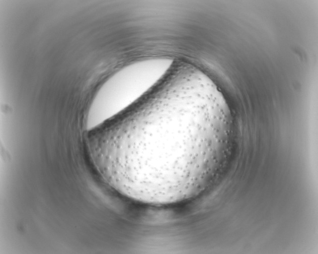 X0000091200311200708091044
