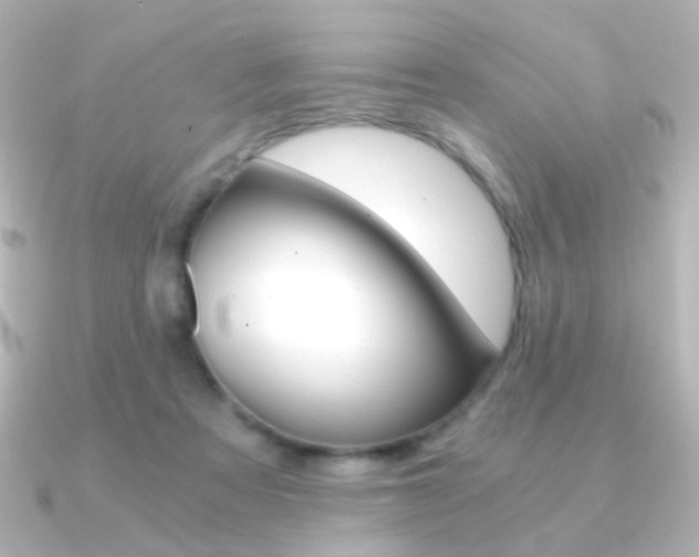 X0000091200313200708091044