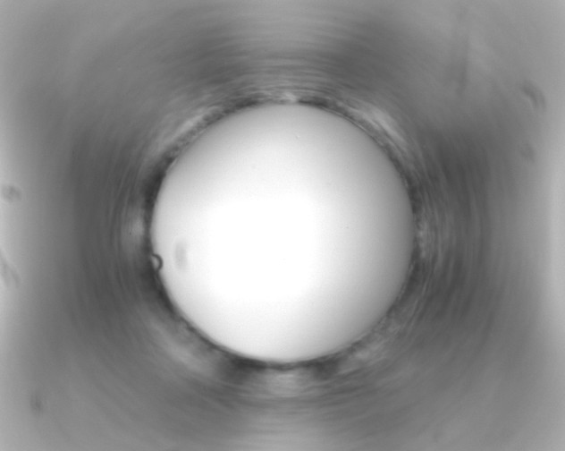 X0000091200314200708091044