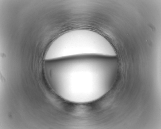 X0000091200315200708091044