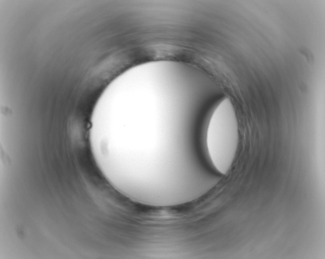 X0000091200316200708091044