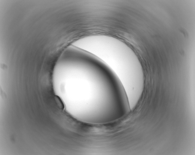 X0000091200317200708091044