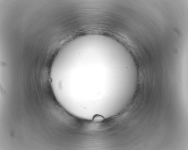 X0000091200318200708091044