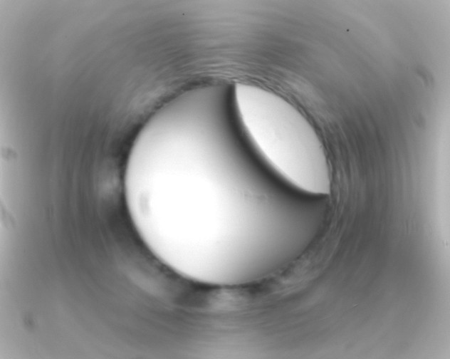 X0000091200320200708091044