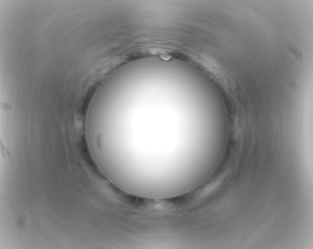 X0000091200321200708091044