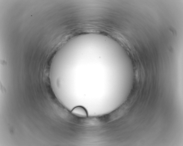 X0000091200322200708091044