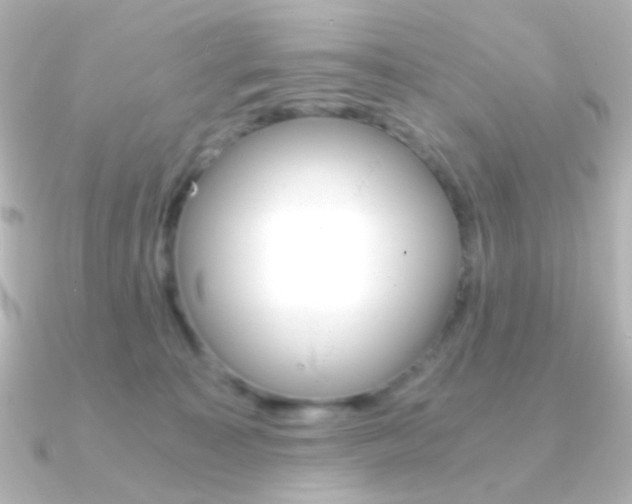 X0000091200323200708091044