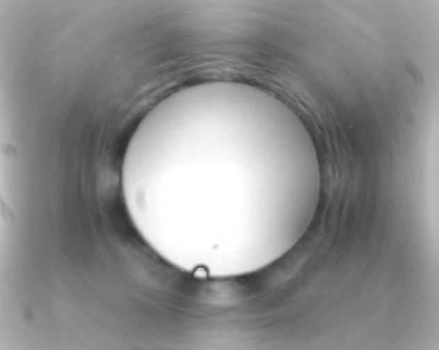 X0000091200324200708091044