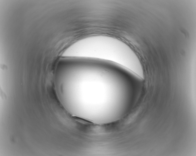 X0000091200325200708091044