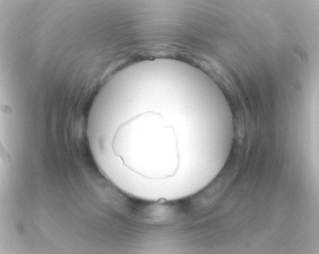 X0000091200326200708091044