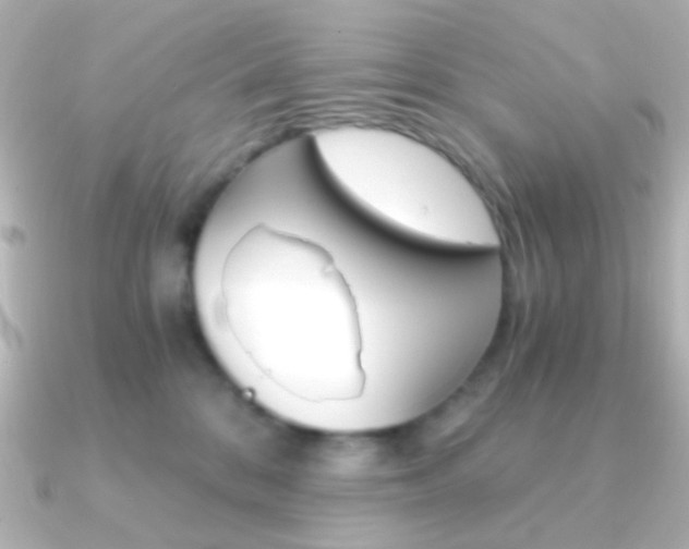 X0000091200328200708091044