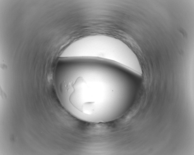 X0000091200329200708091044