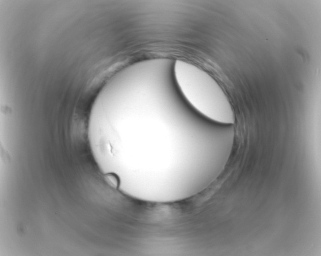 X0000091200330200708091044