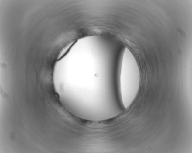 X0000091200331200708091044